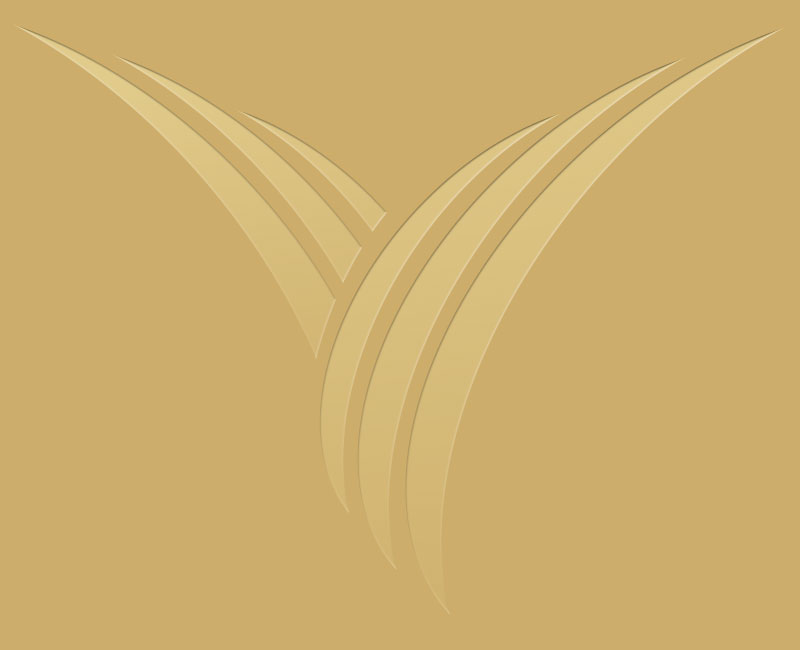 Logo Hautarztpraxis Doctor-medic Ionica Vais